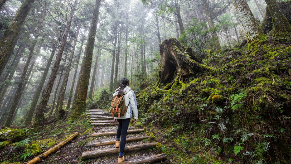 Produccion azucarera