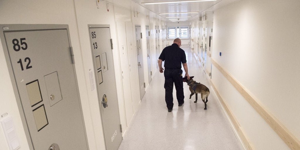 Suecia toma una drástica decisión: propone rebajar la edad penal de 15 a 13 años para los delitos más graves