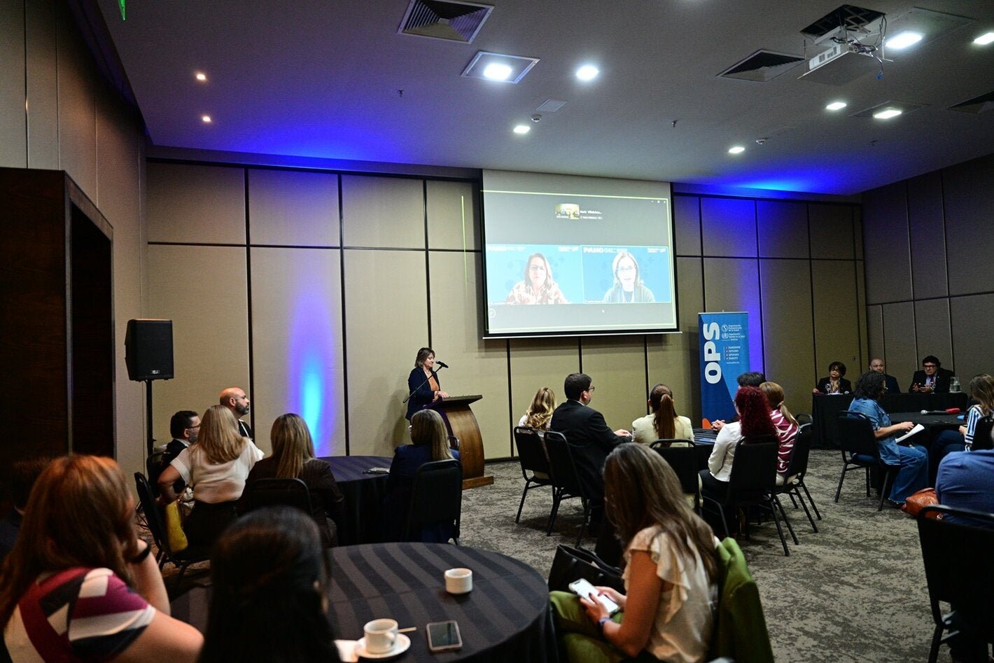 Paraguay avanza en la elaboración de la hoja de ruta para la eliminación de enfermedades transmisibles