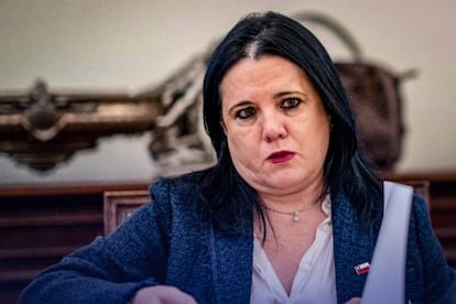 Trinidad Steinert y la salida de la jefa de inteligencia de la policía chilena: “Se intenta hacer entender a la comunidad que hay un complot”