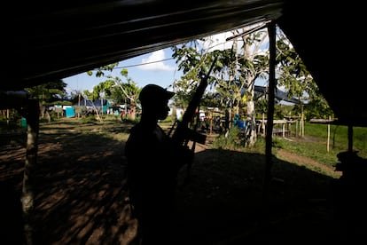 Cerca de 50 muertos por enfrentamientos entre las disidencias de Calarcá y Mordisco en Guaviare