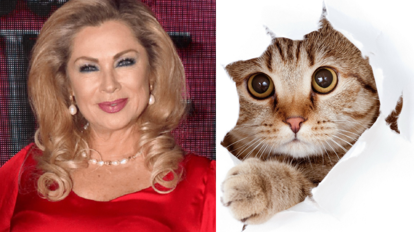 Leticia Calderón se defiende de las críticas tras revivirse VIDEO sobre su fobia a los gatos: “Fue hace mucho”