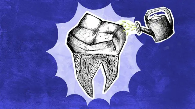 Los científicos que buscan que los dientes que perdemos vuelvan a crecer