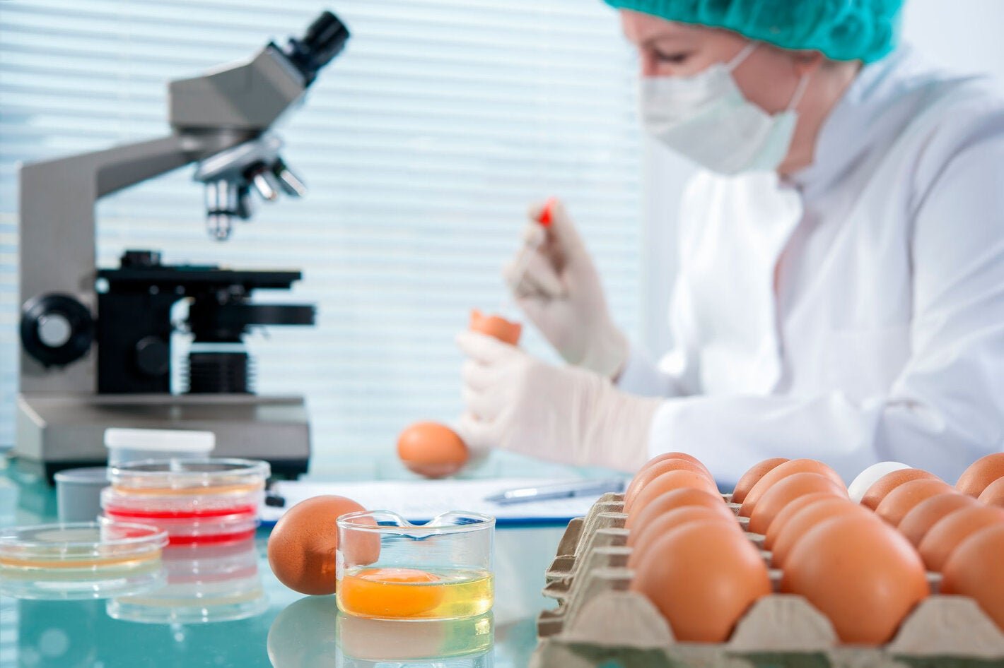 Países de América Latina impulsarán 24 iniciativas para fortalecer sus sistemas de inocuidad de los alimentos
