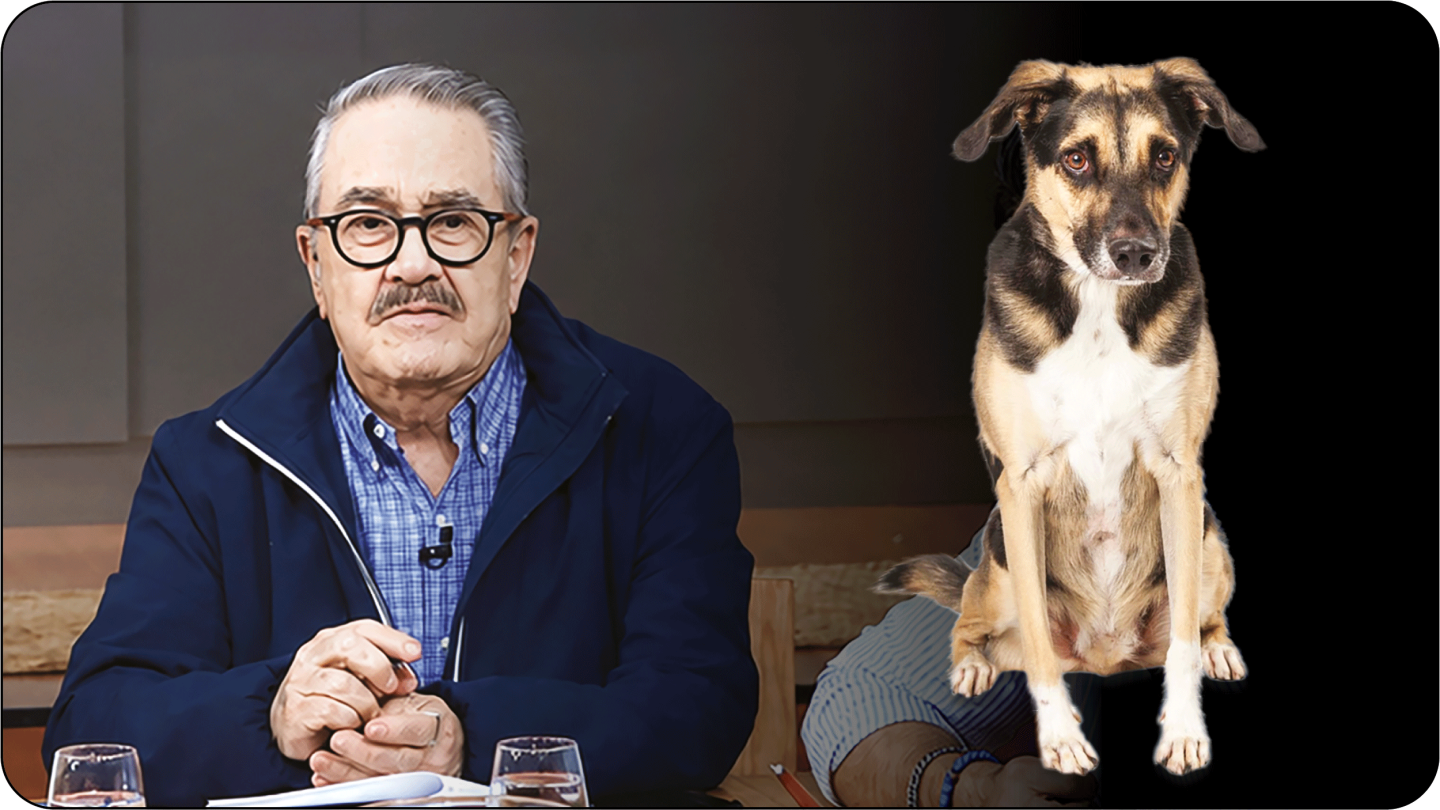 Pedro Sola: Tras declaraciones vs. perros, el medio dice “Psicópata, así empiezan los asesinos seriales”