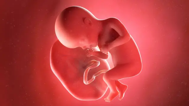 Por qué existe el negocio del tráfico de placenta humana