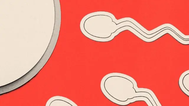 Por qué la infertilidad masculina sigue sin recibir la atención necesaria: “Se presupone que el problema es de la mujer”
