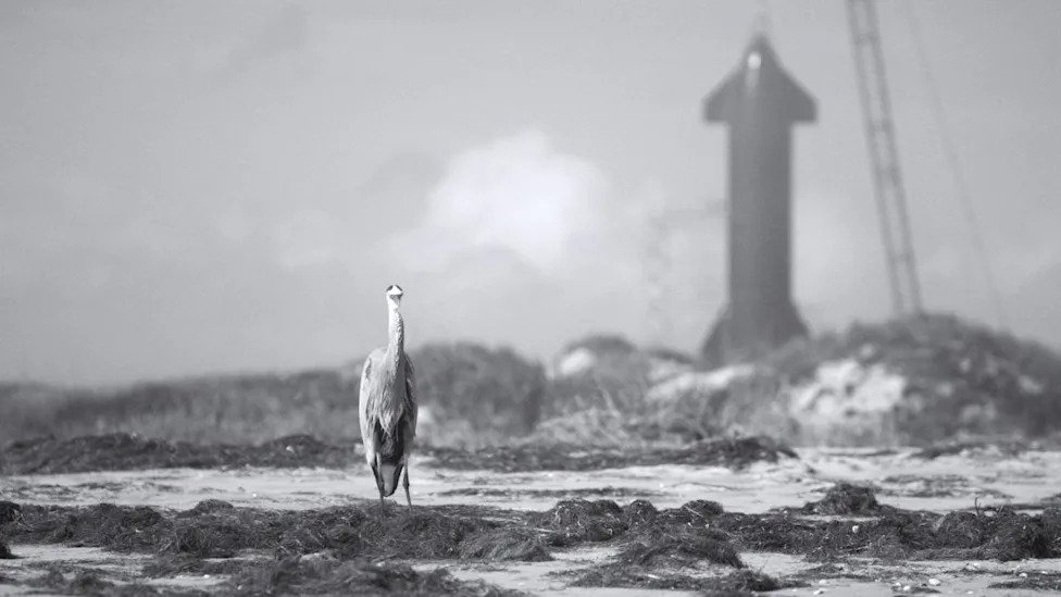 ¿Por qué SpaceX está preocupando a México?