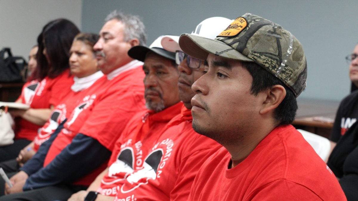 Trabajadores agrícolas de California expresan miedo abrumador ante redadas  