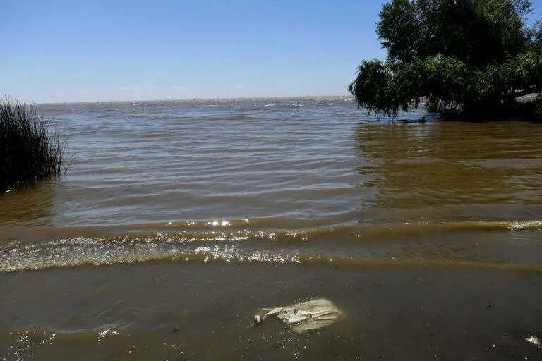 Un semáforo ambiental creado en la Argentina para determinar contaminación en ríos, arroyos y lagos: cuáles están peor y mejor