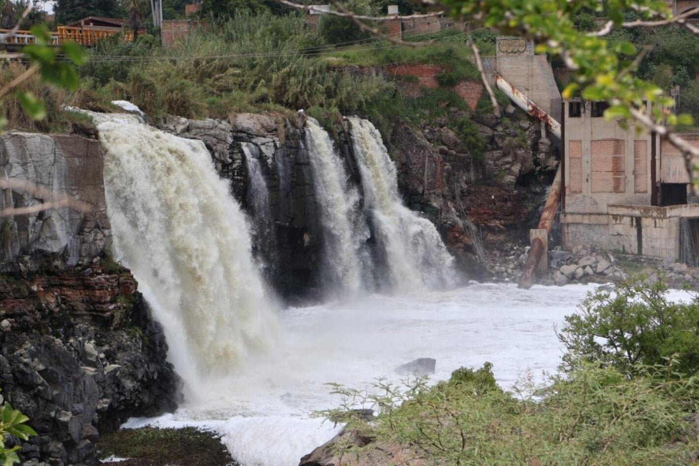 OPS acompaña a México en acciones de salud ambiental en el estado de Jalisco