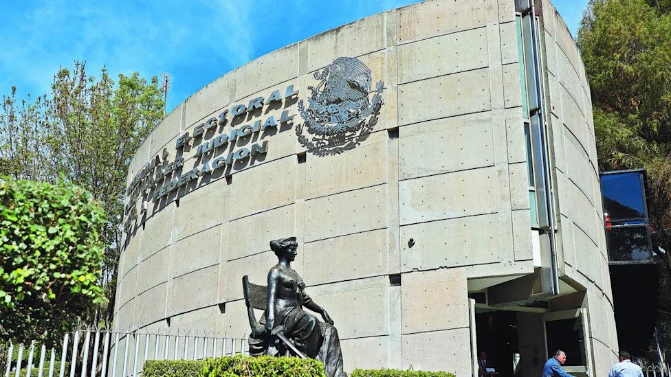 TEPJF avala multa a México Tiene Vida por intento de soborno a funcionaria del INE