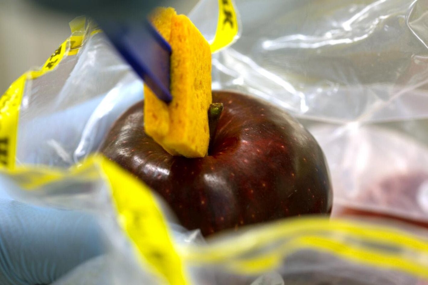 CNRIBA se integra a la Red Interamericana de Laboratorios de Análisis de Alimentos y fortalece la inocuidad alimentaria en las Américas