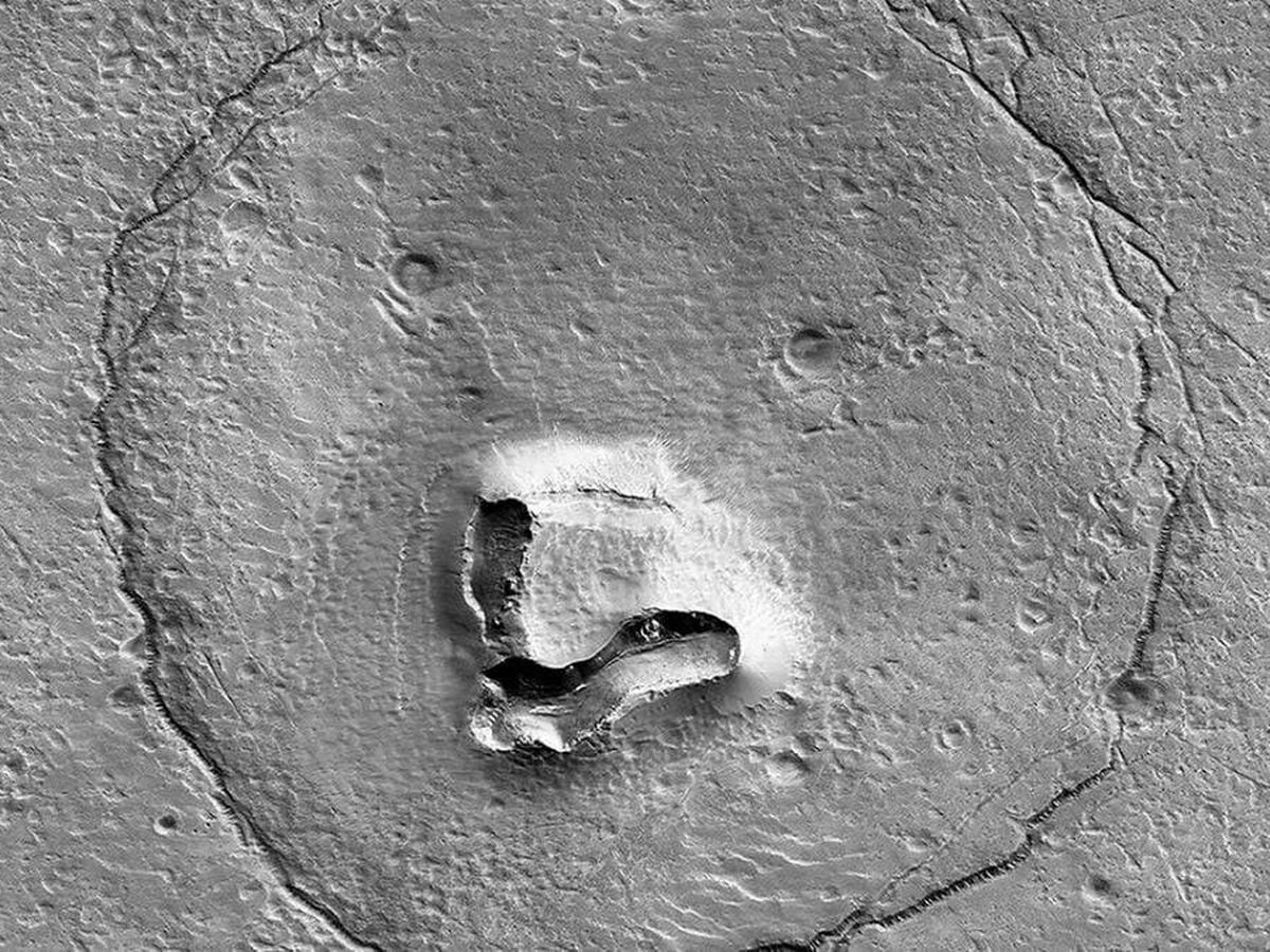 En 2022, la NASA fotografió un oso sobre la superficie de Marte: por fin sabemos cómo se formó