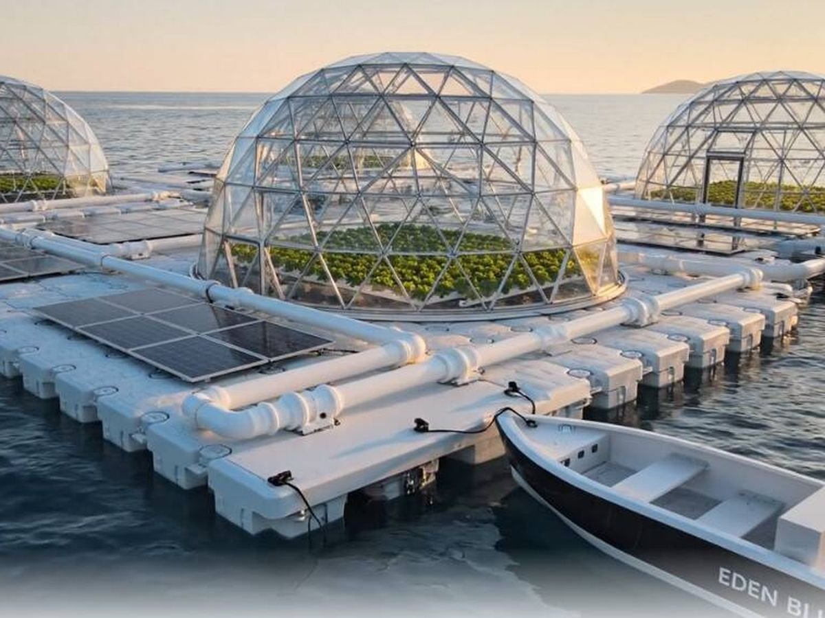 Estudiantes españoles diseñan una plataforma para cultivar alimentos con agua de mar y solucionan un gran problema de la agricultura