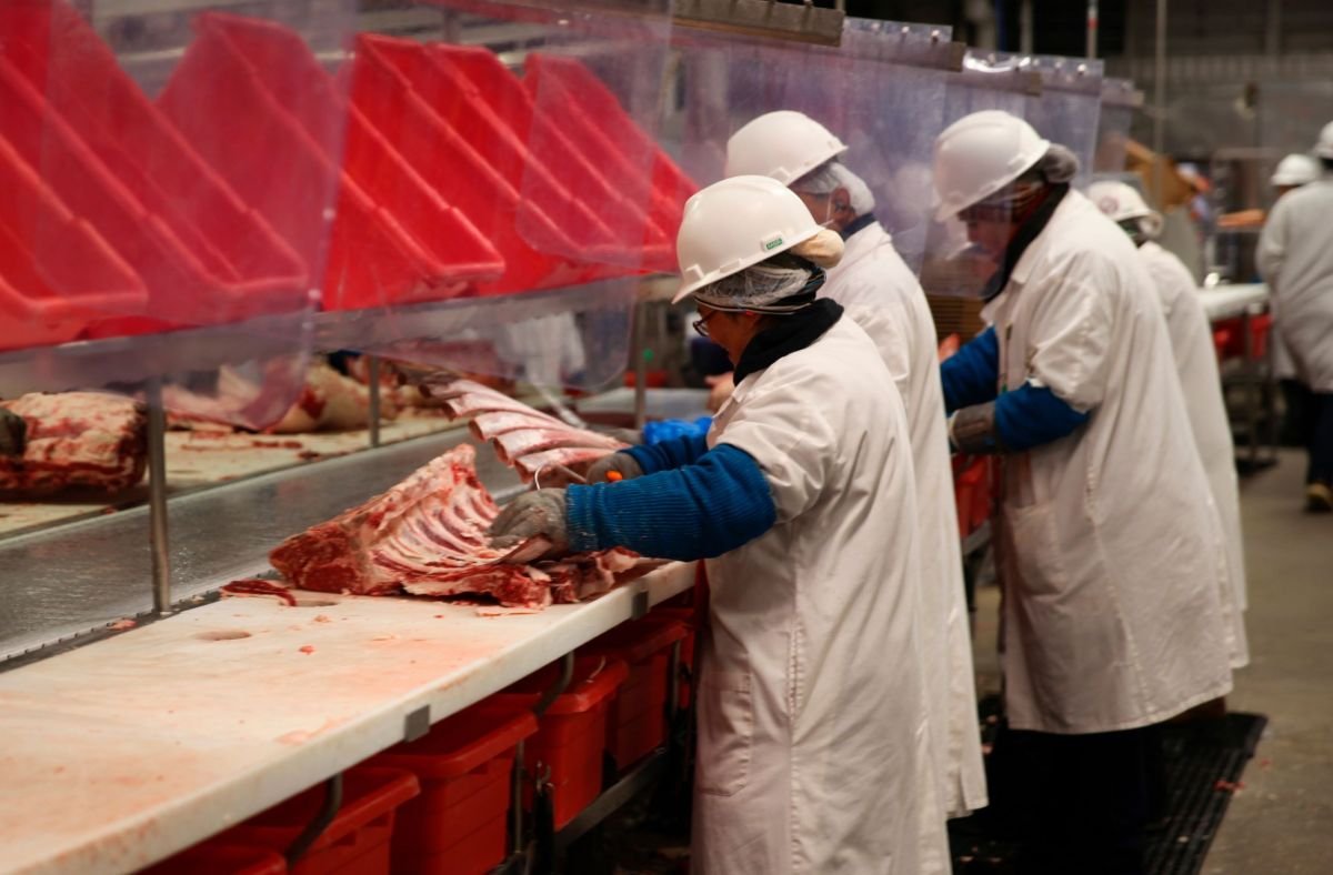 ICE golpea plantas procesadoras: ganaderos advierten que el consumidor pagará más por la carne de res