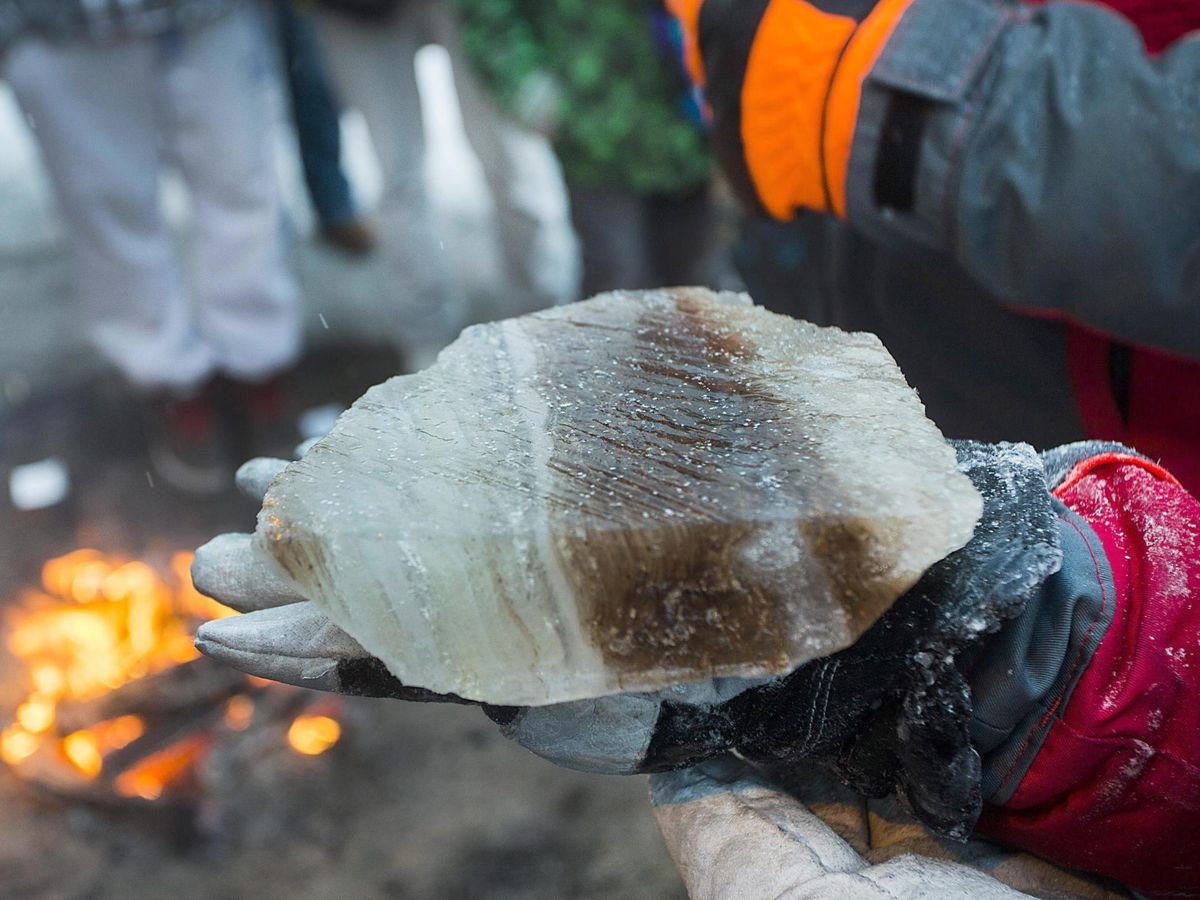 Israel mezcla agua congelada y celulosa y logra crear un nuevo tipo de hielo tan fuerte como el hormigón