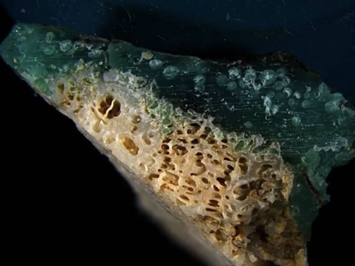 Japón descubre que el plástico ha empezado a fusionarse con el coral y ese es un problema que pronto podríamos sufrir en el resto del mundo